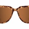 Everyday * | Blenders Eyewear Copper Fox